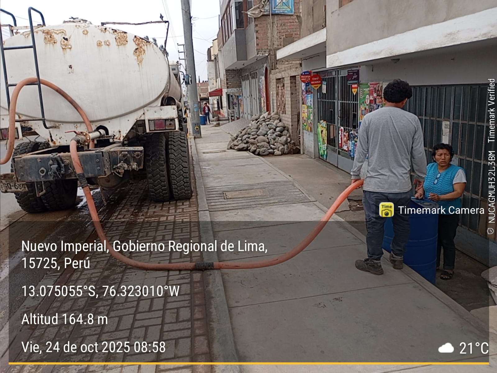 Imagen 3605